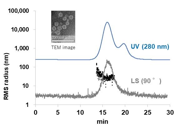 [Shodex] VLP, Exosome 분석에 적합한 UB-50, UB-100 컬럼